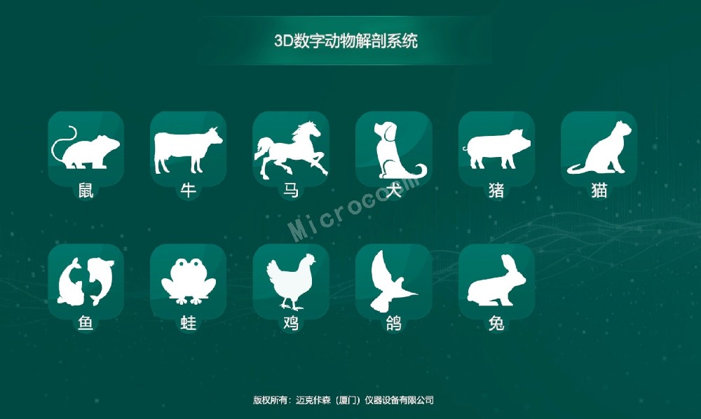 3D数字动物解剖系统